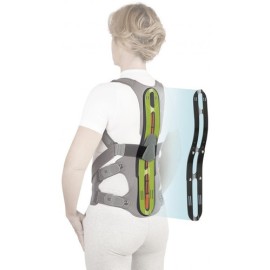 Faja Dorso Lumbar Dorsotech Toracolumbar Orliman Tc300 Unita