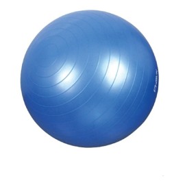 Pelota Gym Ball Pilates Yoga 65 Cm Azul Super Confort Pp65
